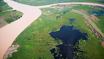 Ecosystem of social and environmental funds in the state of Pará