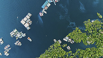 O Amapá na Liderança Nacional de uma Nova Economia do Clima